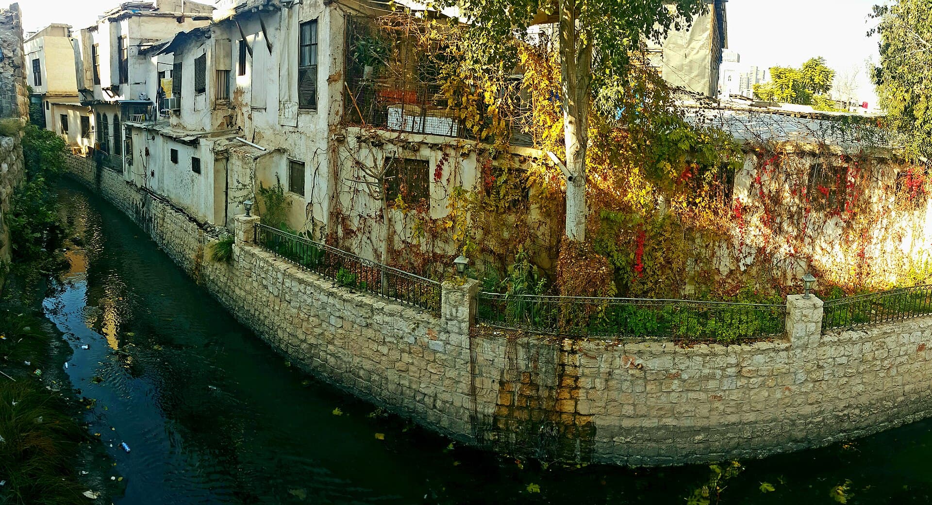 Barada Nehri'nin taş duvarlar arasına alınmış yatağı; kıyıdaki eski Şam evlerinin duvarlarını sonbahar sarmaşığı kaplamış
