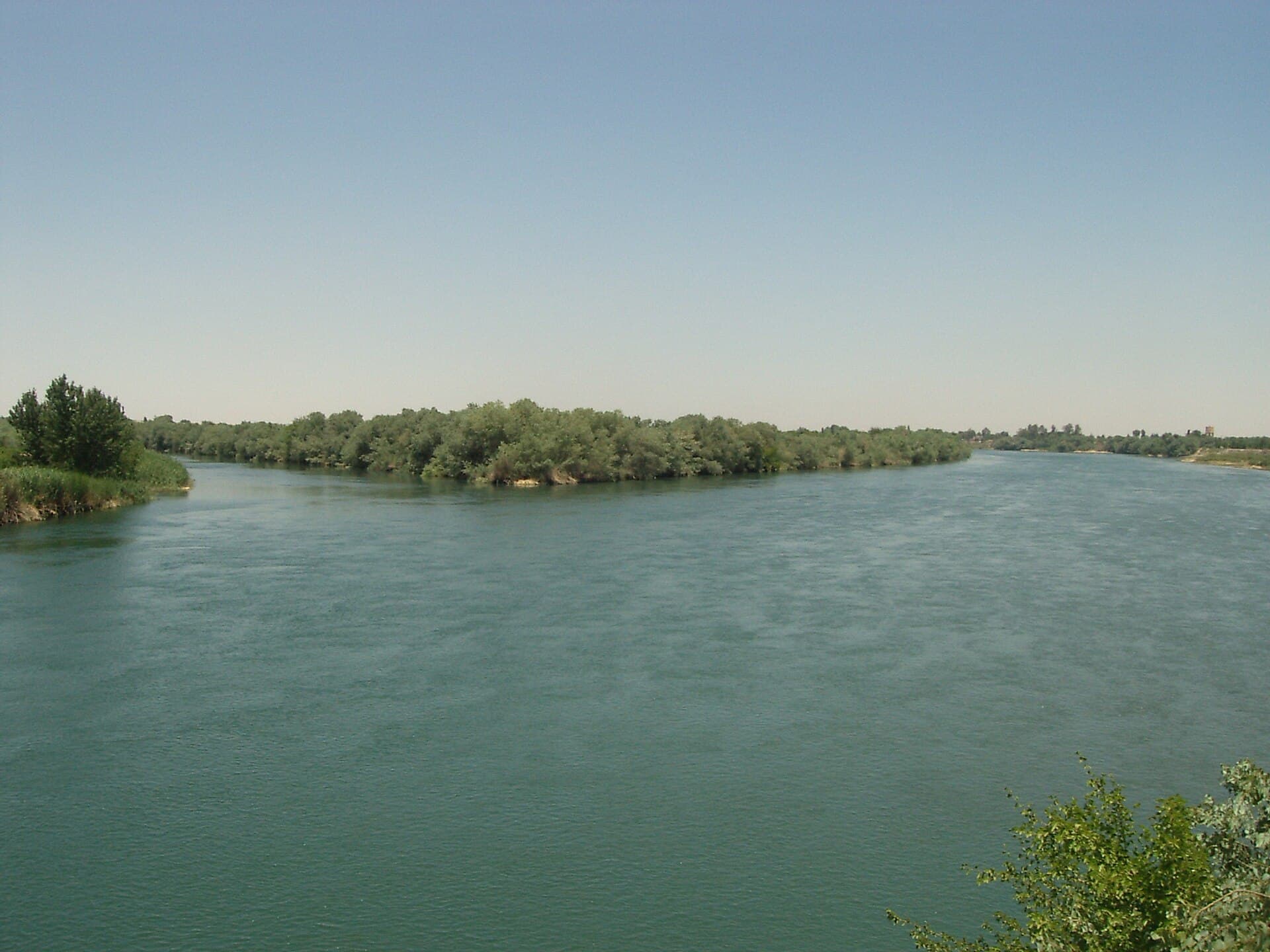 Deyrizor'da Fırat Nehri: geniş, yeşil akan su ve ortasında ağaçlarla kaplı uzun bir ada