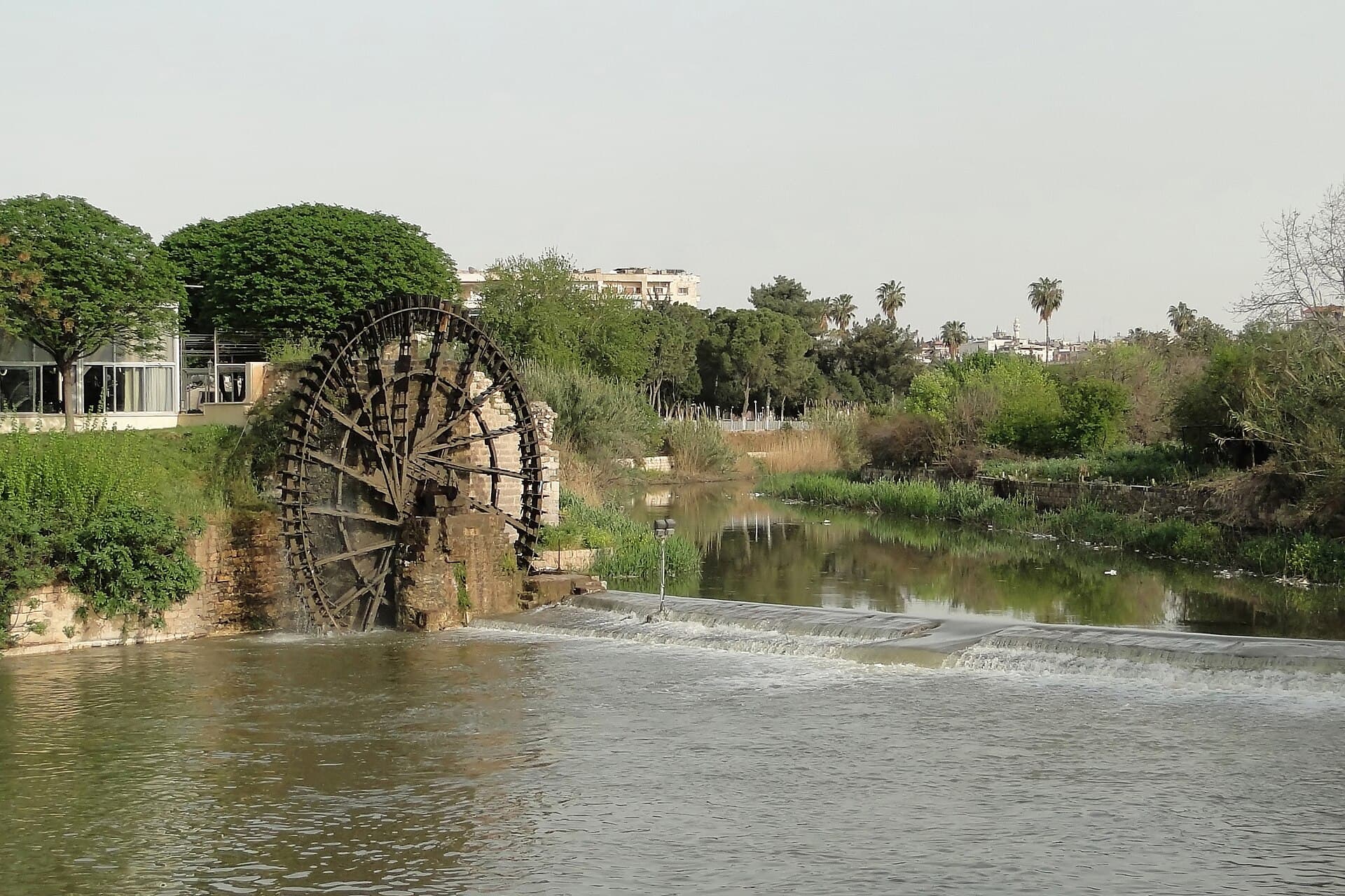 Hama'da Asi Nehri üzerinde ahşap bir su dolabı, önünde nehri kesen alçak bent ve kıyıda ağaçlar