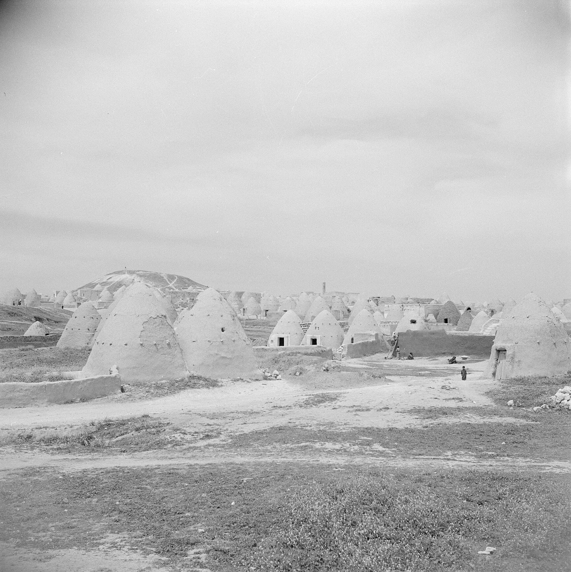 Han Şeyhun'da 1950'de kerpiç kovan evler, arka planda kasabanın üstündeki höyük; siyah beyaz fotoğraf