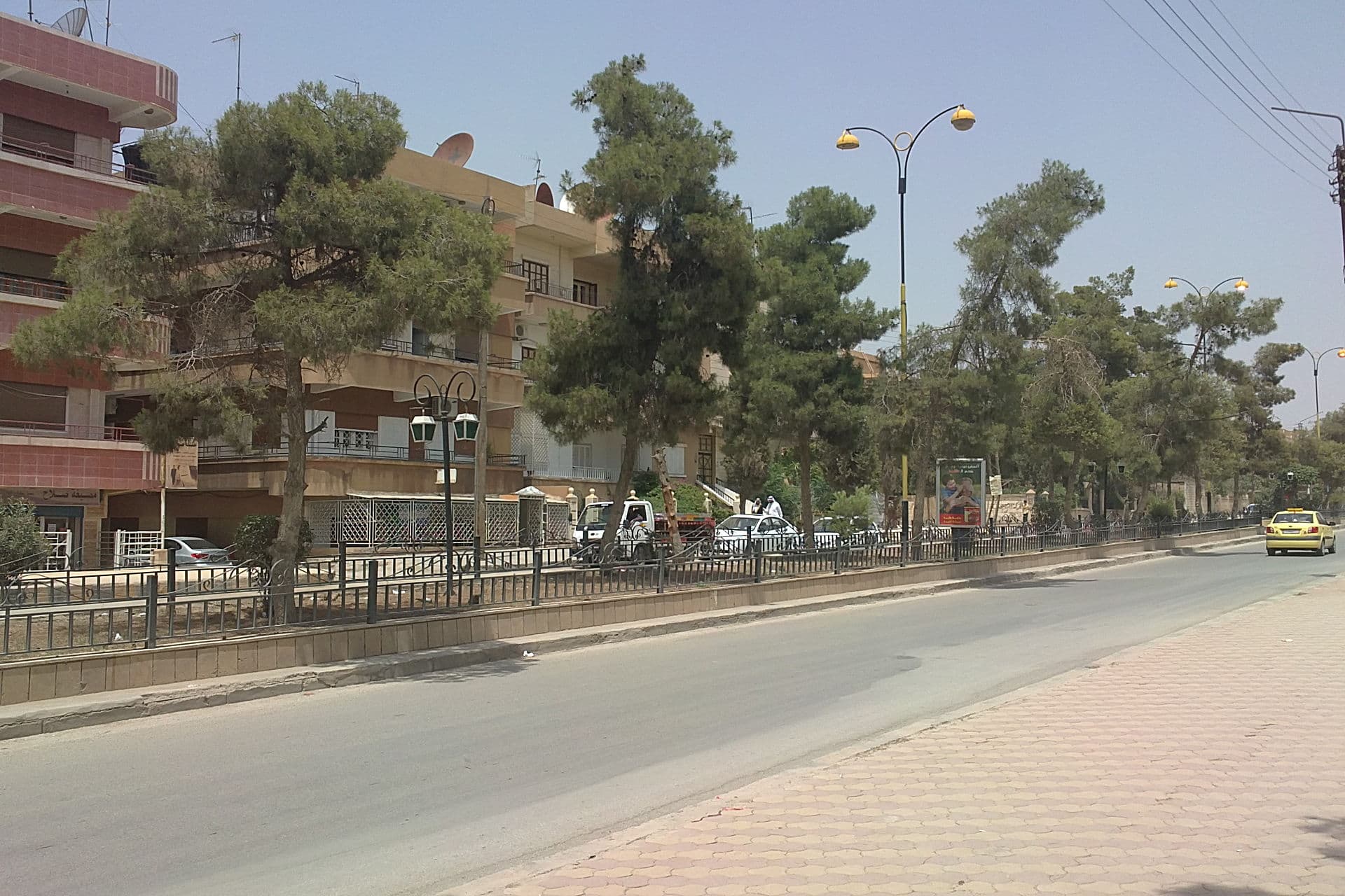Kamışlı'da geniş bir ana cadde; refüjde çam sıraları, kaldırım boyunca dört katlı apartmanlar