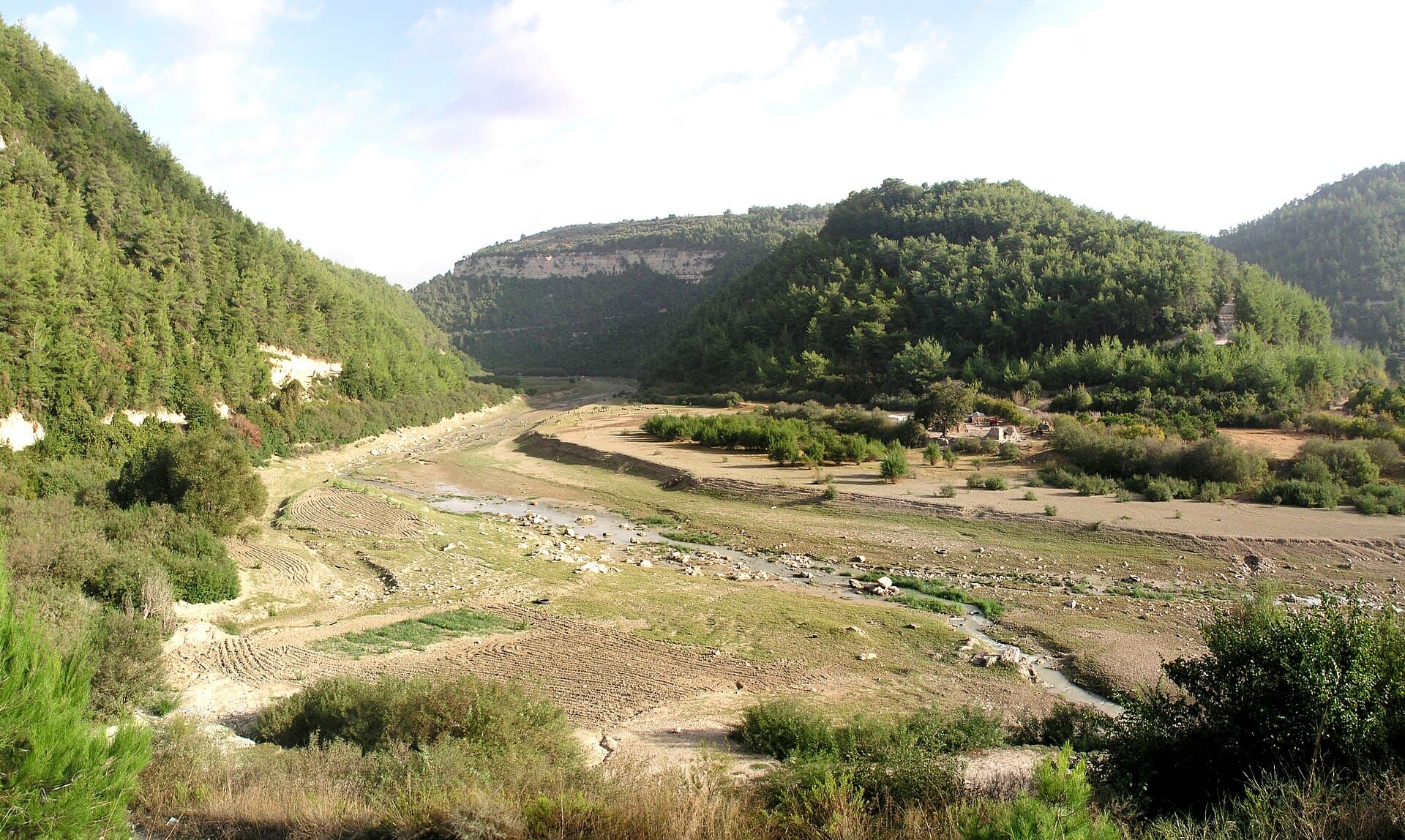 Kuzey Kebir Nehri vadisi: çamlı sırtlar arasında suyu azalmış geniş taşlı yatak ve içinden akan ince su kolu