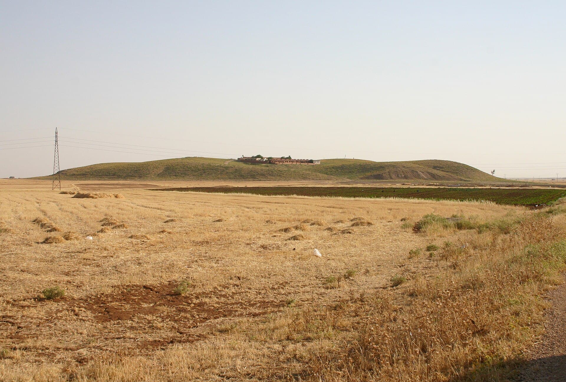 Tell Mozan höyüğü kuzeyden; biçilmiş buğday tarlalarının ardında uzun sırt, tepesinde kazı evi