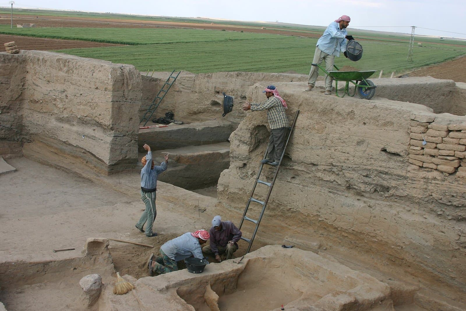 Tell Sabi Abyad'da kazı: kerpiç kesitli derin açmada merdivenle toprak taşıyan işçiler, üst kenarda el arabası ve arkada Belih vadisinin yeşil tarlaları, 2009