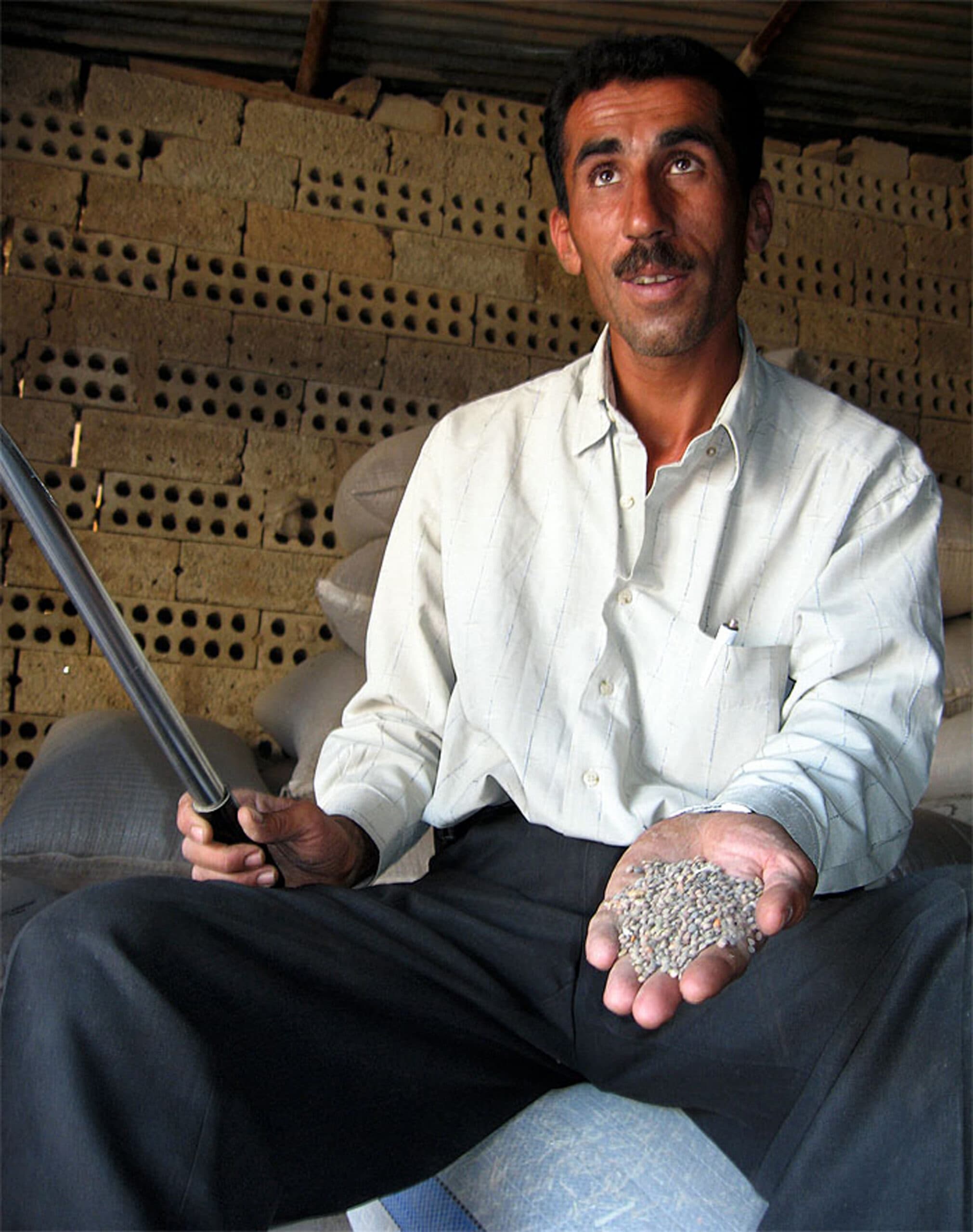 The Al-Hamidiyah Souq — Seed merchant, Al-Hamidiyah Souq, Damascus, Syria