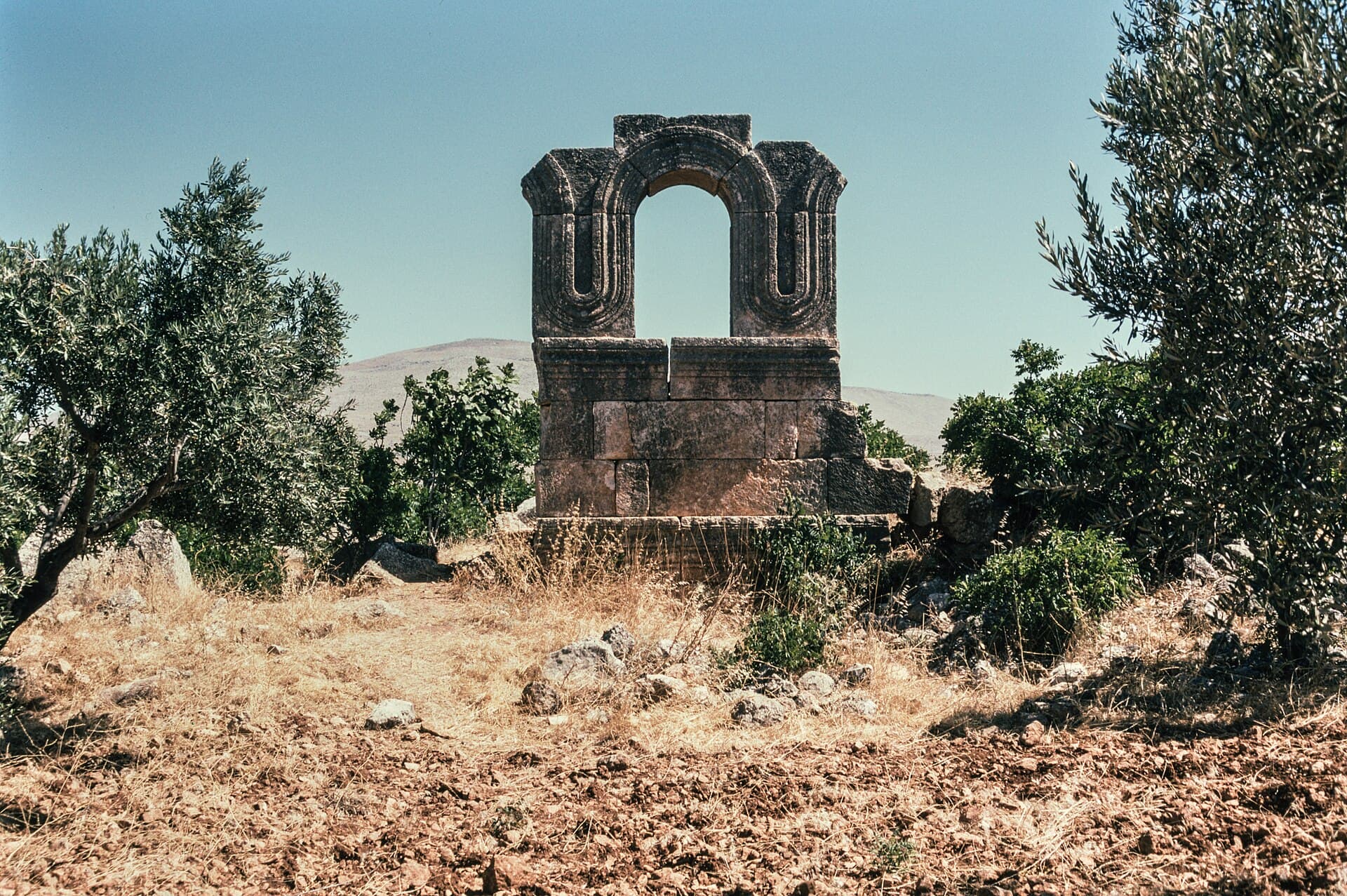 Deyr Turmanin kilisesinden ayakta kalan cephe parçası, zeytinliğin ortasında