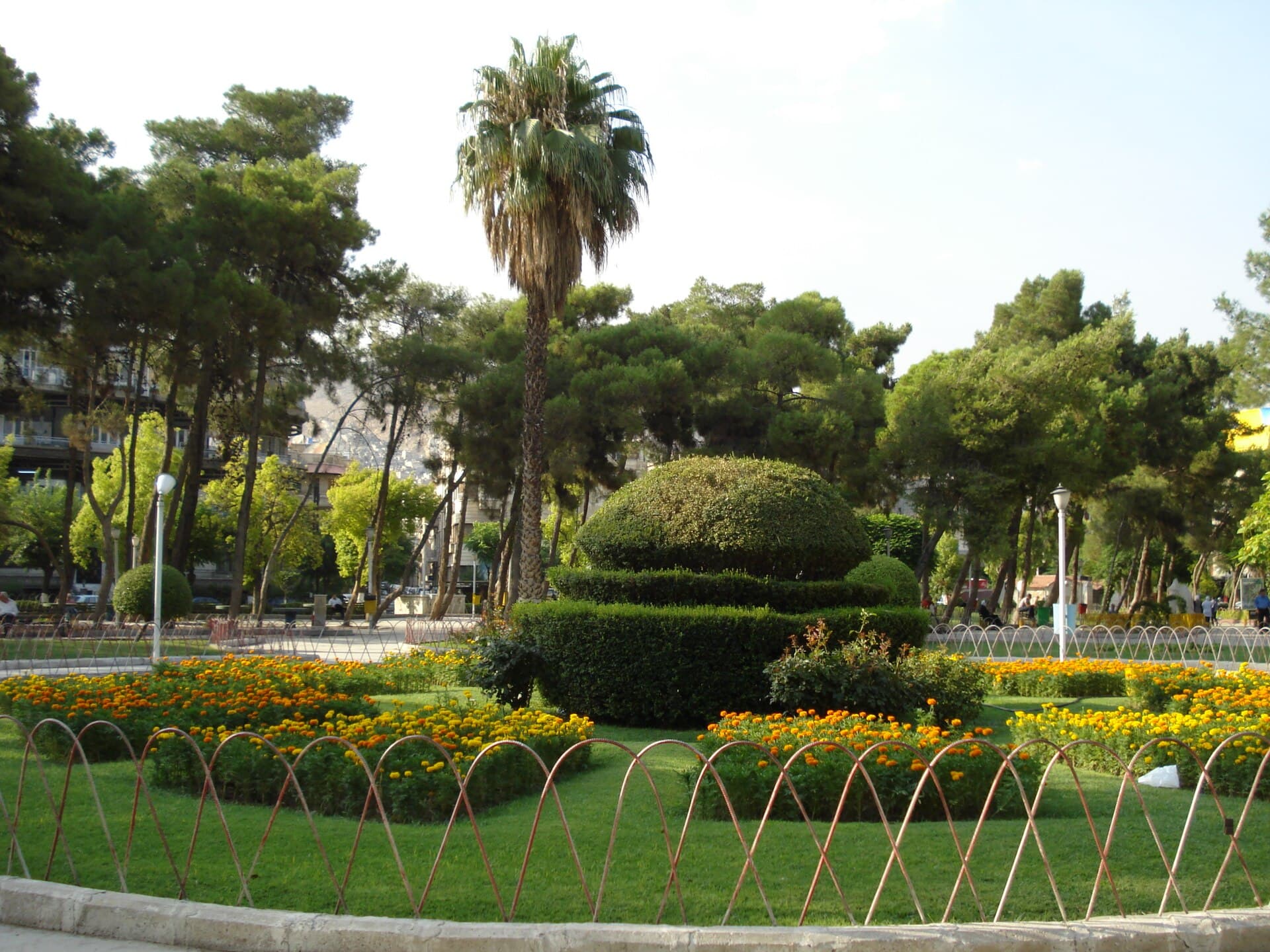 Sebkî Parkı'nda turuncu ve sarı kadife çiçeği tarhları, budanmış çalı, çamlar ve arkada Kasiyun